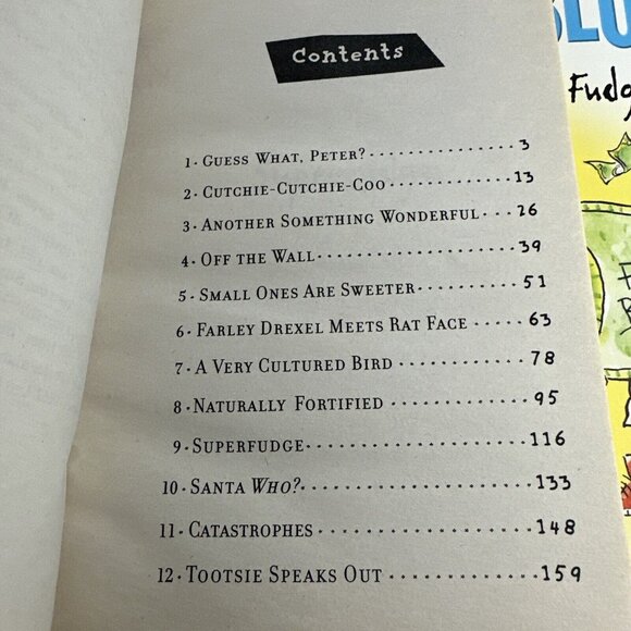 Kids Book Superfudge Doublefudge Author Judy Blume Summer Reading Grandkids Fun - Picture 6 of 7